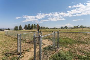 Dog park